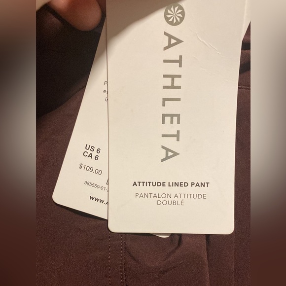 Attitude II Lined Pant // spiced Cabernet - Picture 5 of 9